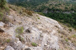 Llegando - Barranc Llenguaeixuta - Capafonts - RocJumper