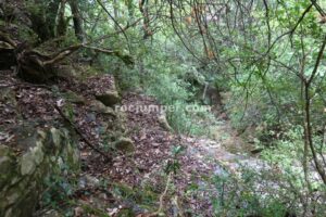 R2 - Barranc Llenguaeixuta - Capafonts - RocJumper