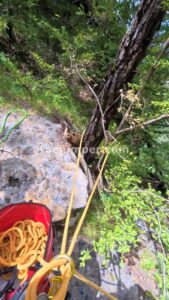 R6 - Torrent de Cal Culestret - Gòsol - RocJumper