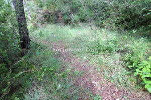 Retorno - Barranc Llenguaeixuta - Capafonts - RocJumper