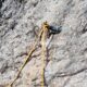 053-barranc-rierol-pratformiu-sant-llorenc-morunys-rocjumper