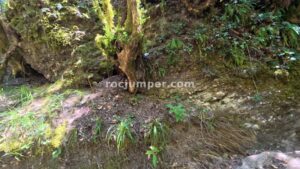 R8 - Torrent de Junyent - Odèn - RocJumper