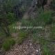 063 Barranc Rierol Pratformiu Sant Llorenc Morunys Rocjumper