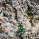 069 Torrent Cal Culestret Clot Infern Guixers Rocjumper