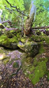 R13 - Barranco Estribiella - Siresa - RocJumper