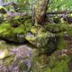075 Barranco Estribiella Hecho Rocjumper