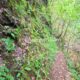 093 Torrent Cal Culestret Clot Infern Guixers Rocjumper