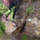 094 Torrent Cal Culestret Clot Infern Guixers Rocjumper