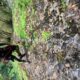 096 Torrent Cal Culestret Clot Infern Guixers Rocjumper