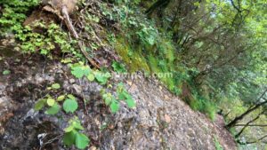 Cadenas - Torrent del Clot de l'Infern - Gòsol - RocJumper