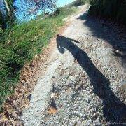 56-via-ferrata-sant-marti-sarroca-les-valls-retorno
