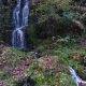 Cap_deth_Tiron_01_Cascada