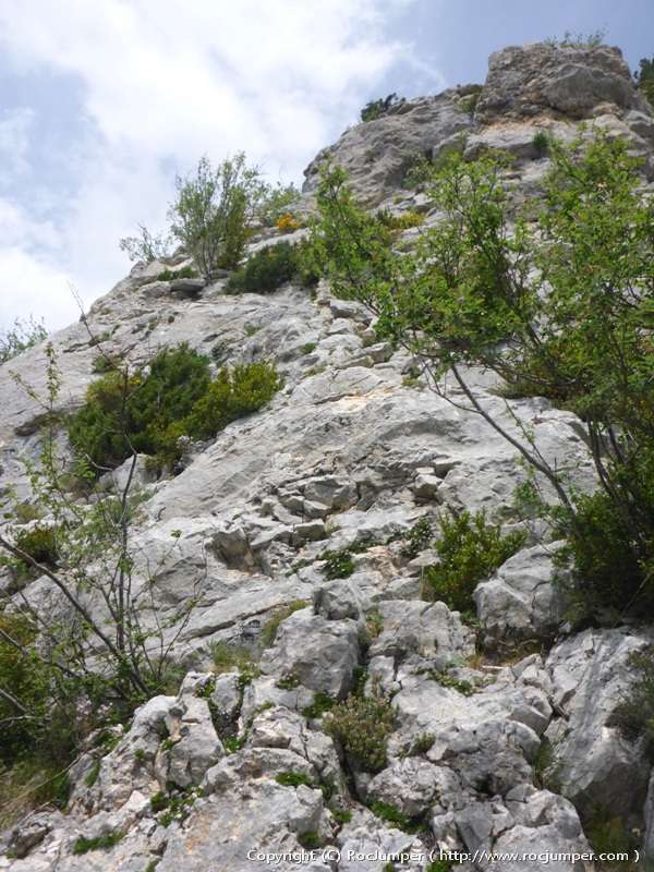 Cresta de Sahara lliure Largo 1