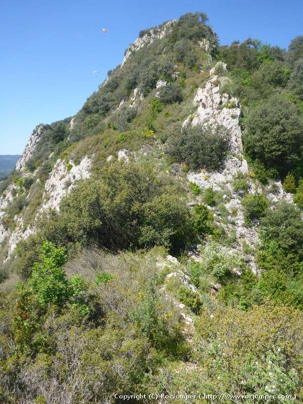Cresta de Queralt