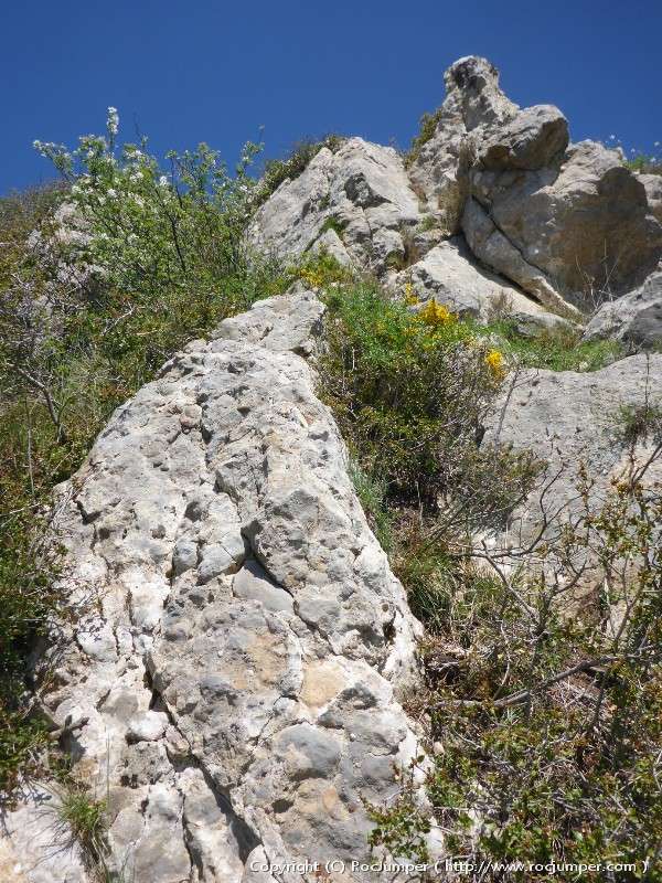 Cresta de Queralt