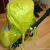 Mochila trail running Haglof Comp Gram 25